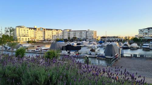Nordelta Apartamento | Nordelta Bahía Grande - Cochera Cubierta