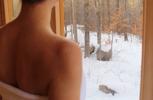 Greenwood Cabina | Nordic House - Glamping Cabin w Hot Tub, Sauna, Cold Plunge + Waterfront w Dock