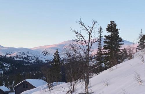 Kroderen Casa | Norefjell, ny flott hytte til leie