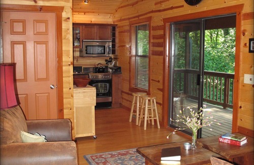 Norfork Cabina | North Fork River: ¡solo cabaña privada en el North Fork River Trophy Waters!