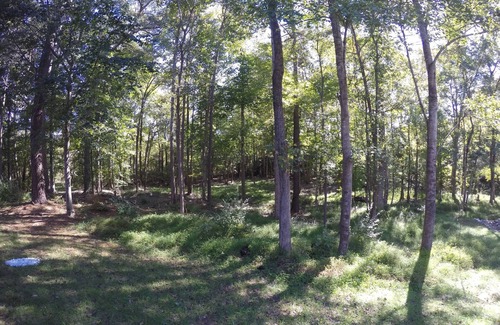 North Raleigh Casa | North Raleigh home in Wakefield Plantation Culd-de-sac lot in private wooded lot