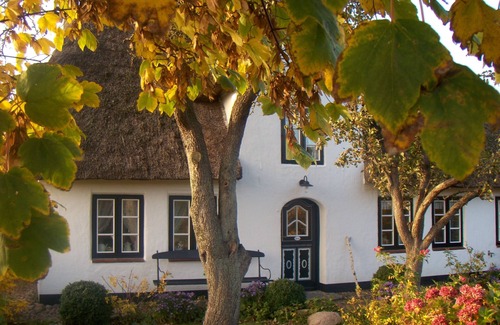 Midlum Casa | Mar del Norte: vacaciones de ensueño en la casa frisona con techo de paja, ya sea soltero, pareja o familia