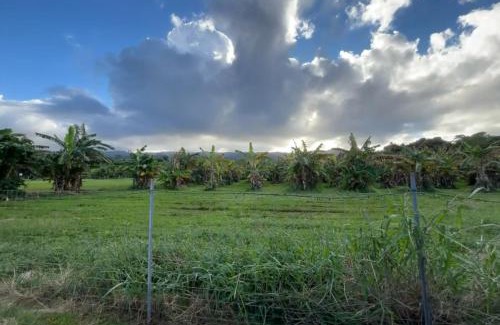 Laie Otro | North Shore Glamping Camping Laie, Oahu, Hawaii