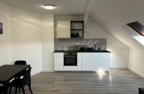 Sonnenberg Apartamento | NorthApartments Chemnitz am Stadion