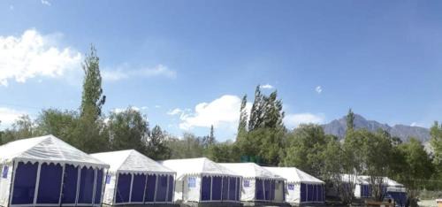 Hundur Otro | Northern Valley Camp - Nubra