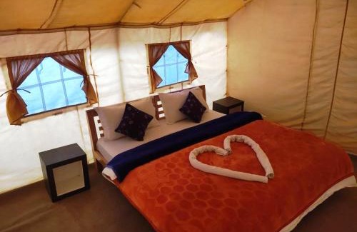 Hundur Otro | Northern Valley Camp - Nubra
