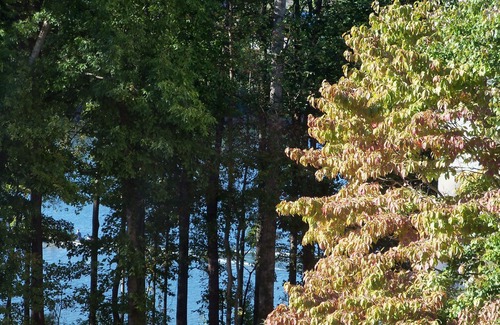 Northlake Condominio | NORTHLAKE CAPTAIN'S QUARTERS has 3 bedrooms and 2 full baths to accommodate 6.