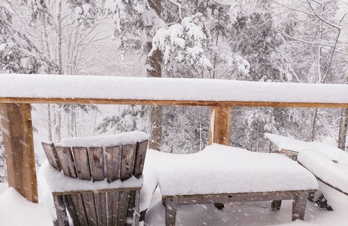 Craftsbury Cabina | Northwoods Guest Cabin and firepit & porch overlooking private woods and stream