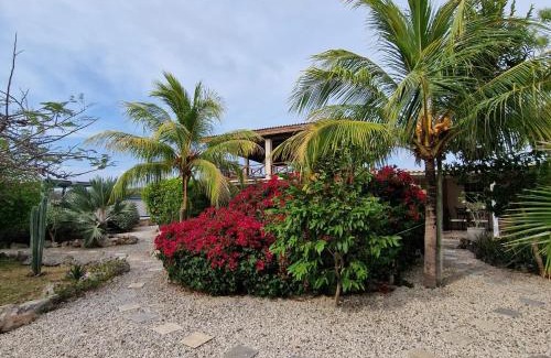Sabana Westpunt Apartamento | Nos Soño Stay and Dive