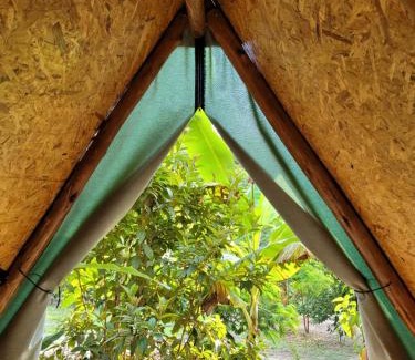 Conceicao do Mato Dentro Otro | Nosso Quintal Candeias - Cabana Banana