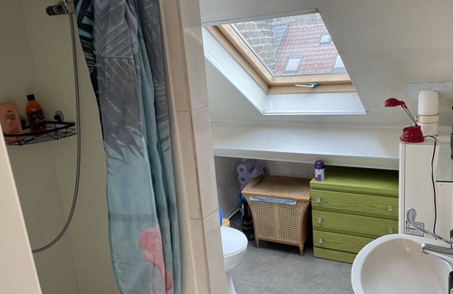 Sint-Gillis Apartamento | Novisa Attic Apartment