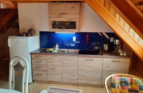 Benesov nad Cernou Apartamento | Novohradky - Oáza klidu na samotě u lesa
