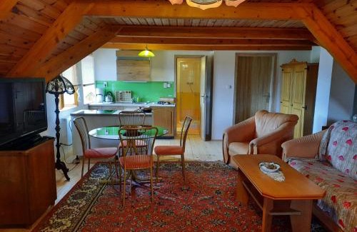 Benesov nad Cernou Apartamento | Novohradský ráj aneb Oáza klidu na samotě u lesa