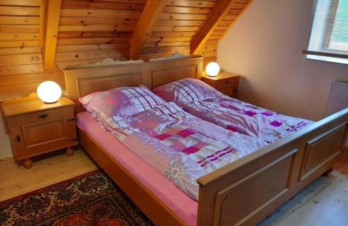 Benesov nad Cernou Apartamento | Novohradský ráj aneb Oáza klidu na samotě u lesa