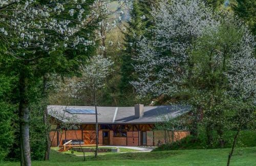 Baligrod Apartamento | Novosiele Lifestyle Apartments - nad górską rzeką - Strefa relaksu sauna jacuzzi - Bieszczady