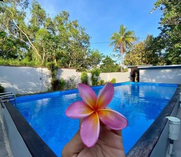 Penida Island Hotel | Npdc Comfy Hotel