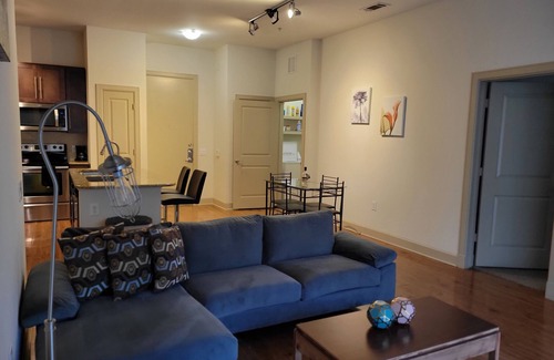 Astrodome Apartamento | NRG & Medical Center, 2 bed/2bath w/Courtyard View - King Beds
