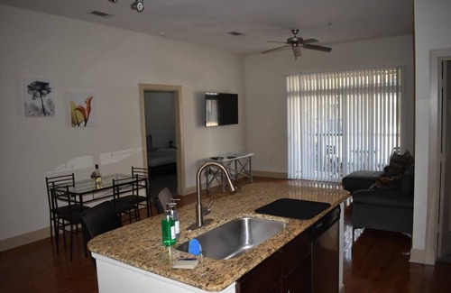 Astrodome Apartamento | NRG & Medical Center, 2 bed/2bath w/Courtyard View - King Beds