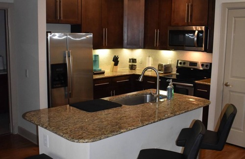 Astrodome Apartamento | NRG & Medical Center, 2 bed/2bath w/Courtyard View - King Beds