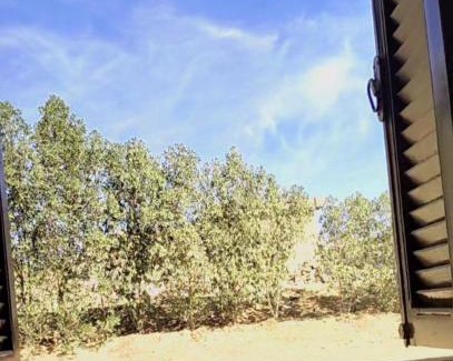 Aswan Apartamento | Nuba