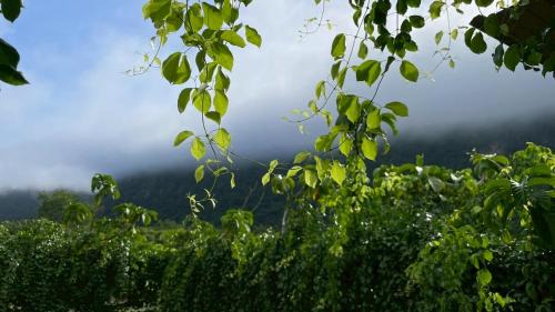 Lan Sak Casa | NUBDAO 168 Homestay
