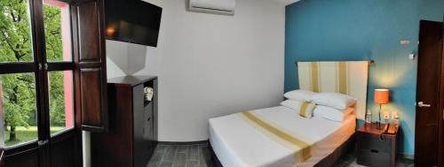 Tequila Hotel | Nueve Agaves Hotel