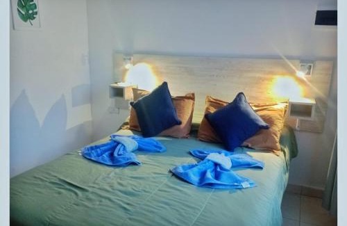 Paraná Apartamento | Nuez de la Isla "Tatú Apart" CENTRO a 6 cuadras!