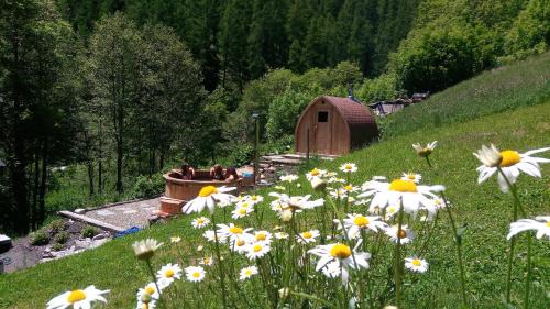 Saint-Rhemy-en-Bosses Cama Y Desayuno | Nuit a Pleiney