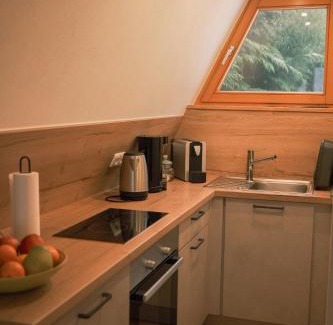 Geyersberg Apartamento | Nurdachhaus am Geyersberg