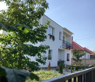 Mad Casa | Nyúlászó Vendégház és Galéria