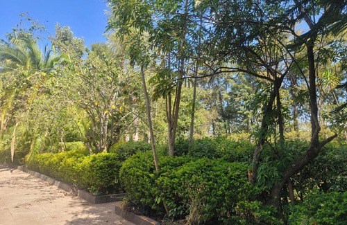 Nanyuki Casa | Nyumbani