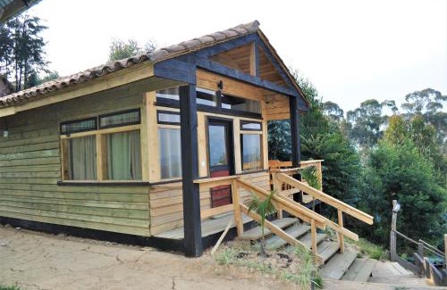 Kitabi Cabina | Nyungwe Nziza Ecolodge