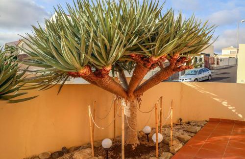 Vila Baleira Casa | O DRAGOEIRO da Madalena!