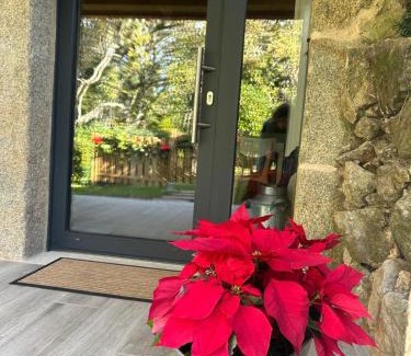 Nigran Apartamento | O lagar de carmen