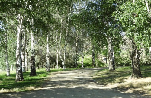 Lowburn Casa | O Naturel Vineyard Stay