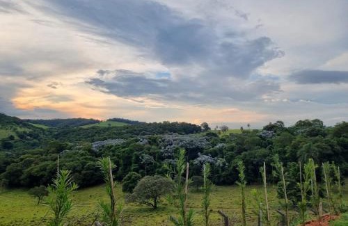 Braganca Paulista Casa | O Zóio da cobra é verde