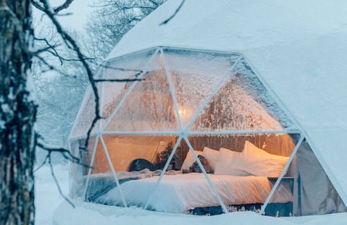 Minto Complejo | Oak Haven Oasis ~ Dome 1