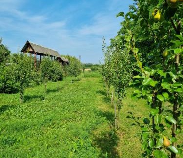 Krapje Apartamento | Oak Holiday House Nature