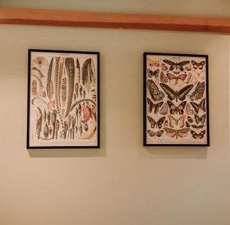 Mariposa Casa | Oak Meadows House