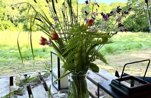 Cullompton Alquiler De RV | Oaktree Nook Camp Secluded camping in 13 acres of magical meadow and woodland.