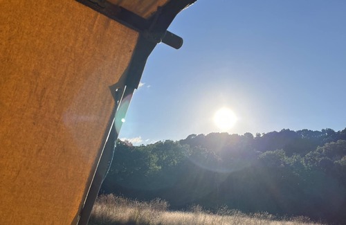 Cullompton Alquiler De RV | Oaktree Nook Camp Secluded camping in 13 acres of magical meadow and woodland.