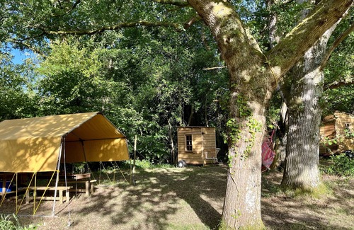Cullompton Alquiler De RV | Oaktree Nook Camp Secluded camping in 13 acres of magical meadow and woodland.