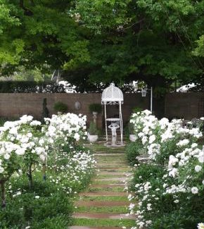 Burgersdorp Casa | Oaktree