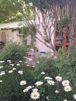Burgersdorp Casa | Oaktree