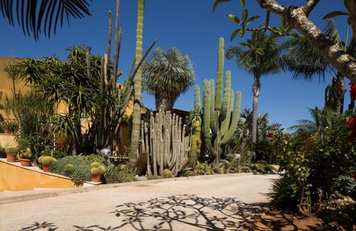 Marsala Apartamento | Oasi delle Succulente