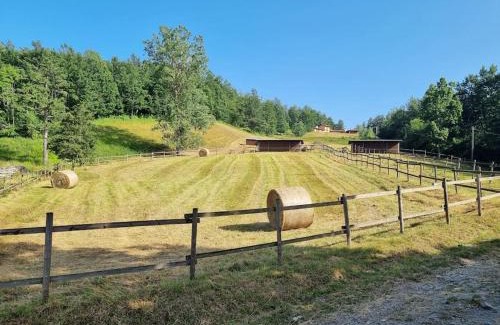 Compiano Apartamento | Oasi di pace nella Val di Taro