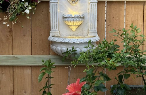 Broadmoor Apartamento | Oasis in the Heart of New Orleans with private heated pool