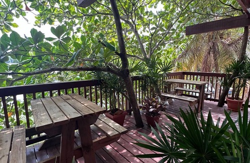 Tela Hotel | Oasis Paradise Hotel