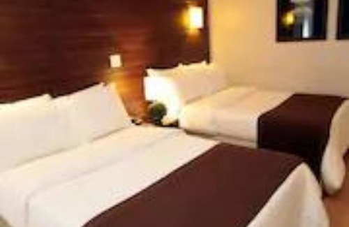Ribeirao Preto Hotel | Oasis Tower Hotel