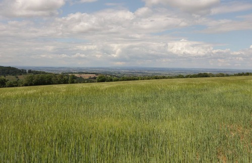 Snowshill Village Cabaña | OAT HILL COTTAGE, pet friendly in Broadway